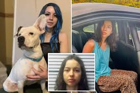 Whitney wisconsin fucking dog jpg x Whitney wisconsin fucking dog
