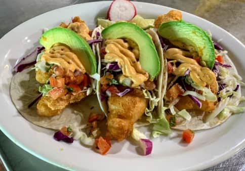 Pig Patas Express by null