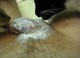 Sonic blaze the cat being fucked wet jpg x Guy fucks cat