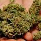 Scientists amazed to find Marijuana use has this similarity to poor sleep 