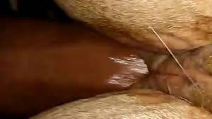 Furry with huge horse dildos gay wild life double furry anal jpg x Man fuck horse