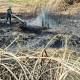 The Lesson of the Arson Jihad in Israel 