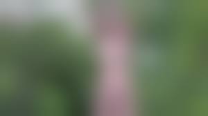 CMNF outdoor|Outdoor nudity, nude dare video - very cute teen strips off in a playground  and plays on