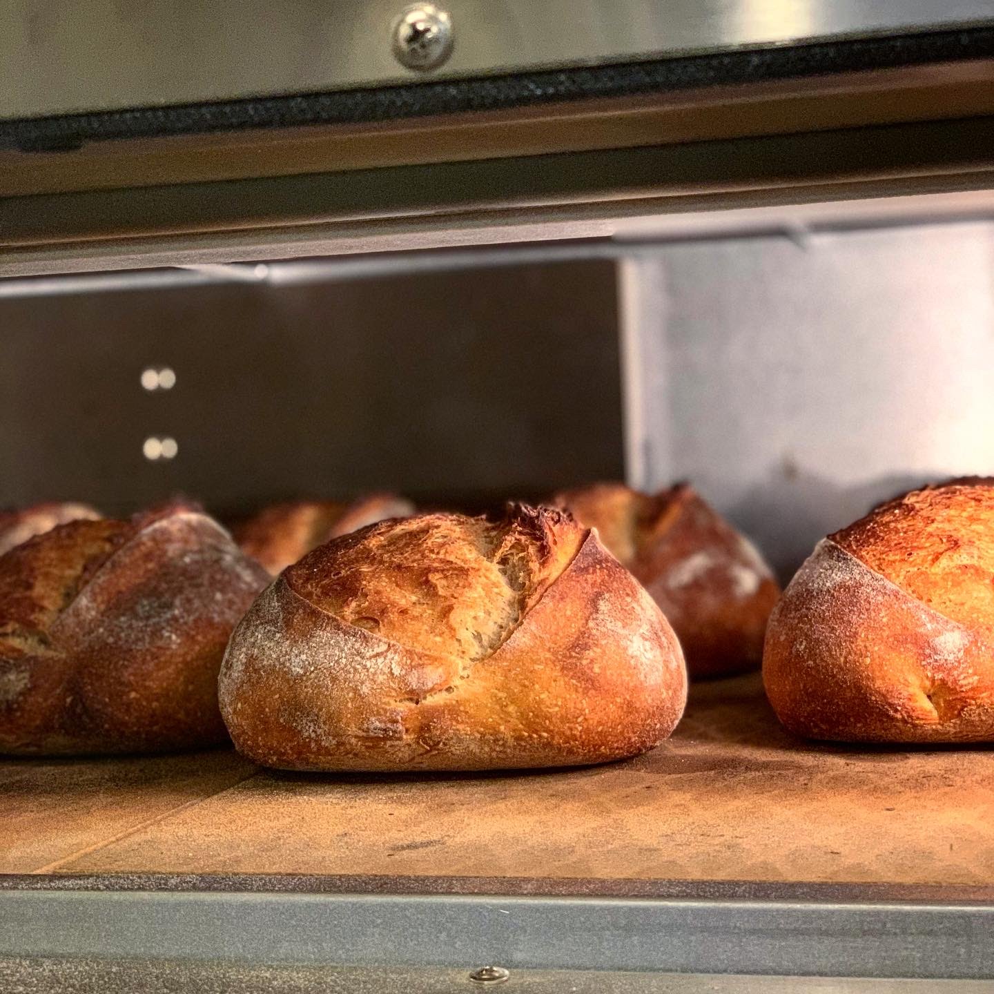 Partybus Bakeshop by null