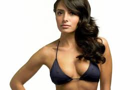 Sarah shahi porn jpg x Sarah shahi sexy