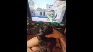 Guy getting a blowjob while watching porn on his phone jpg x Blowjob while