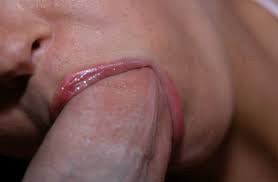 Close up blowjob jpg x Closeup blowjob