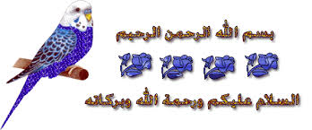 القعدة