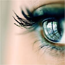 http://t0.gstatic.com/images?q=tbn:ANd9GcRHqKUex-CYGVmu6Xp-lNRvYRyO9CKvVDkocuLnzsDi5Yzu71o