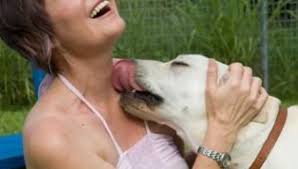 Girlsfuckinganimals jpg x Women fuck animals