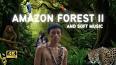 The Hidden Wonders of the Amazon Rainforest ile ilgili video