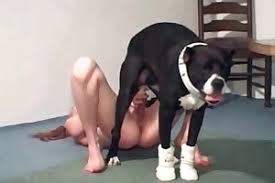 Mujeres sexys teniendo sexo con animales jpg x Mujeres teniendo sexo con animales