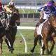 Hoylake fits Lloyd Kennewell's Adelaide Cup criteria 
