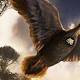 Fossil sheds light on evolution of birdsong 