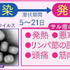 【NHK健康】日本国内でも感染者！サル痘の症状・ワクチン・治療 ...