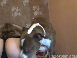 Архивы Team Russia – Rapexxx Xnxx Videos