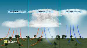 supercell cloud|A Majestic Supercell Timelapse - YouTube