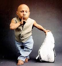 Verne troyer imdb JPG x Verne troyer