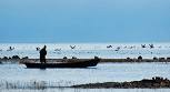 Image result for u202bتالاب گميشانu202c