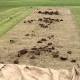 Cricket pitch vandalised, ruining Kingsville Baptist Cricket Club's finals hopes 