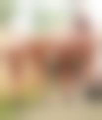 Group spreading pussies|