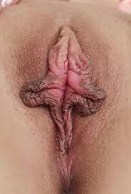 Biggest vagina porn videos faphouse jpg x Big vulva