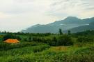 Image result for u202bروستاي افراتختهu202c