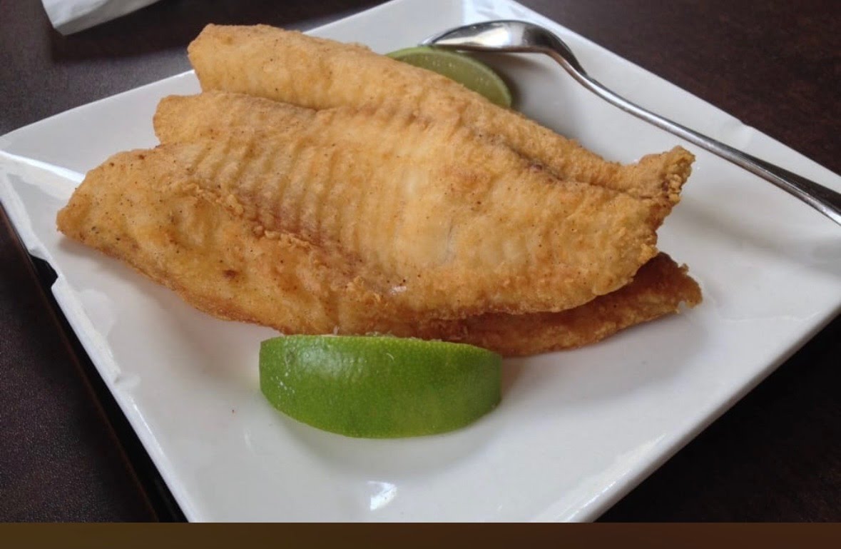 Zoma Express by null