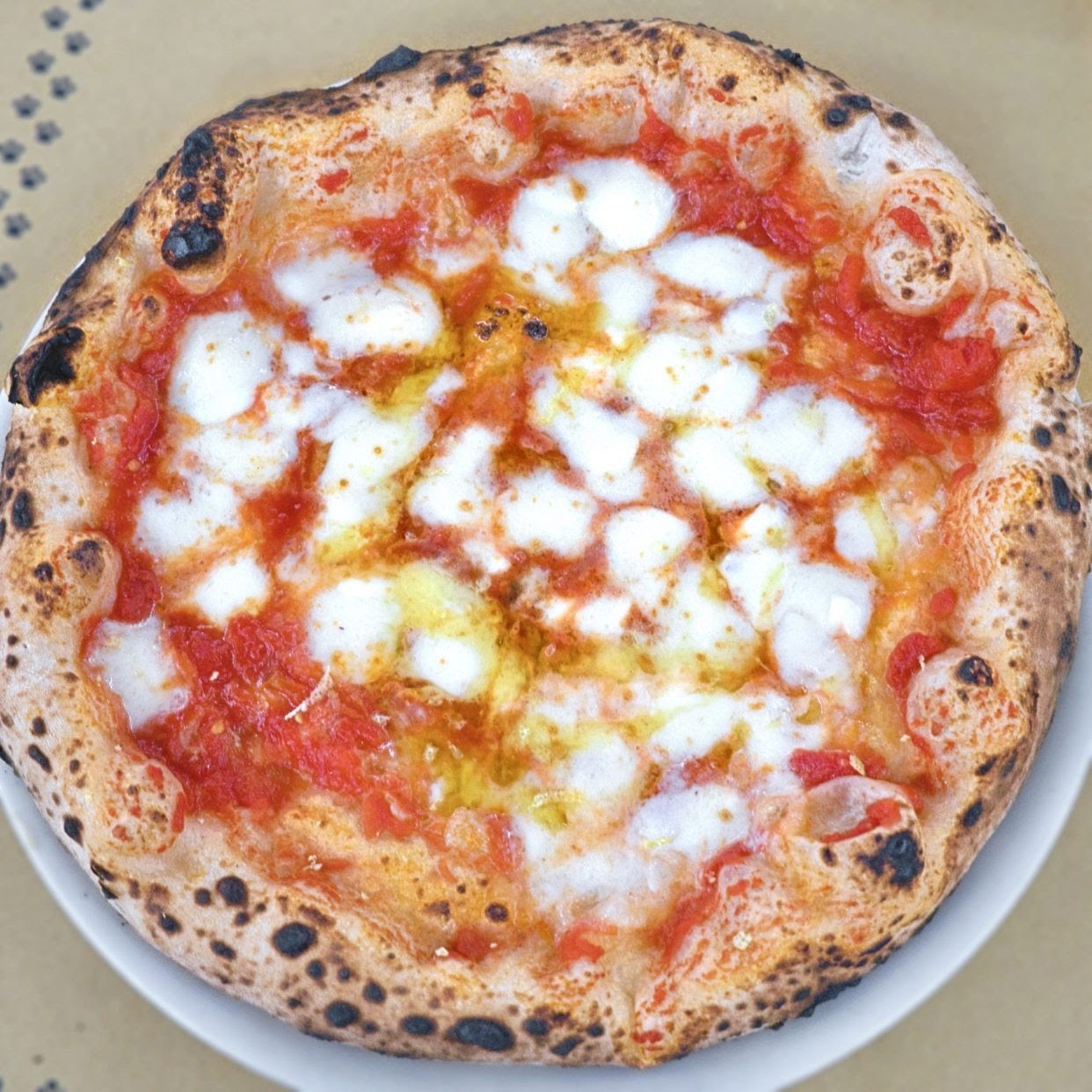 La Gatta Mangiona by null