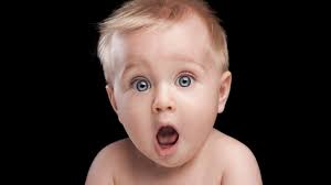 penis children|The P Word: A Manual for Mammals | Science, Naturally!