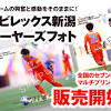 アルビレックス新潟