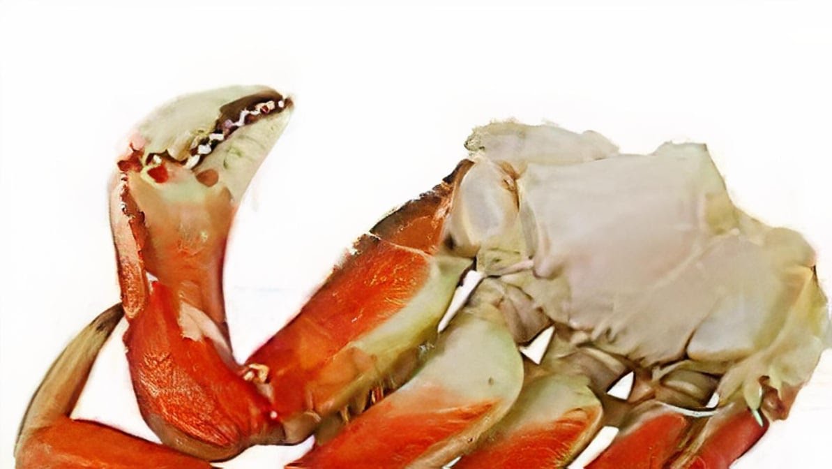 S&S Crawfish by null