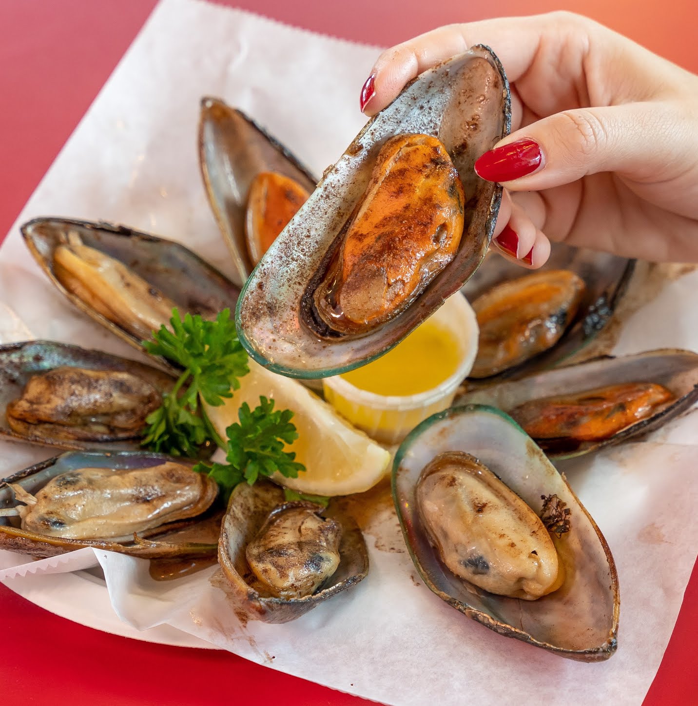 The Crab Cooker by null