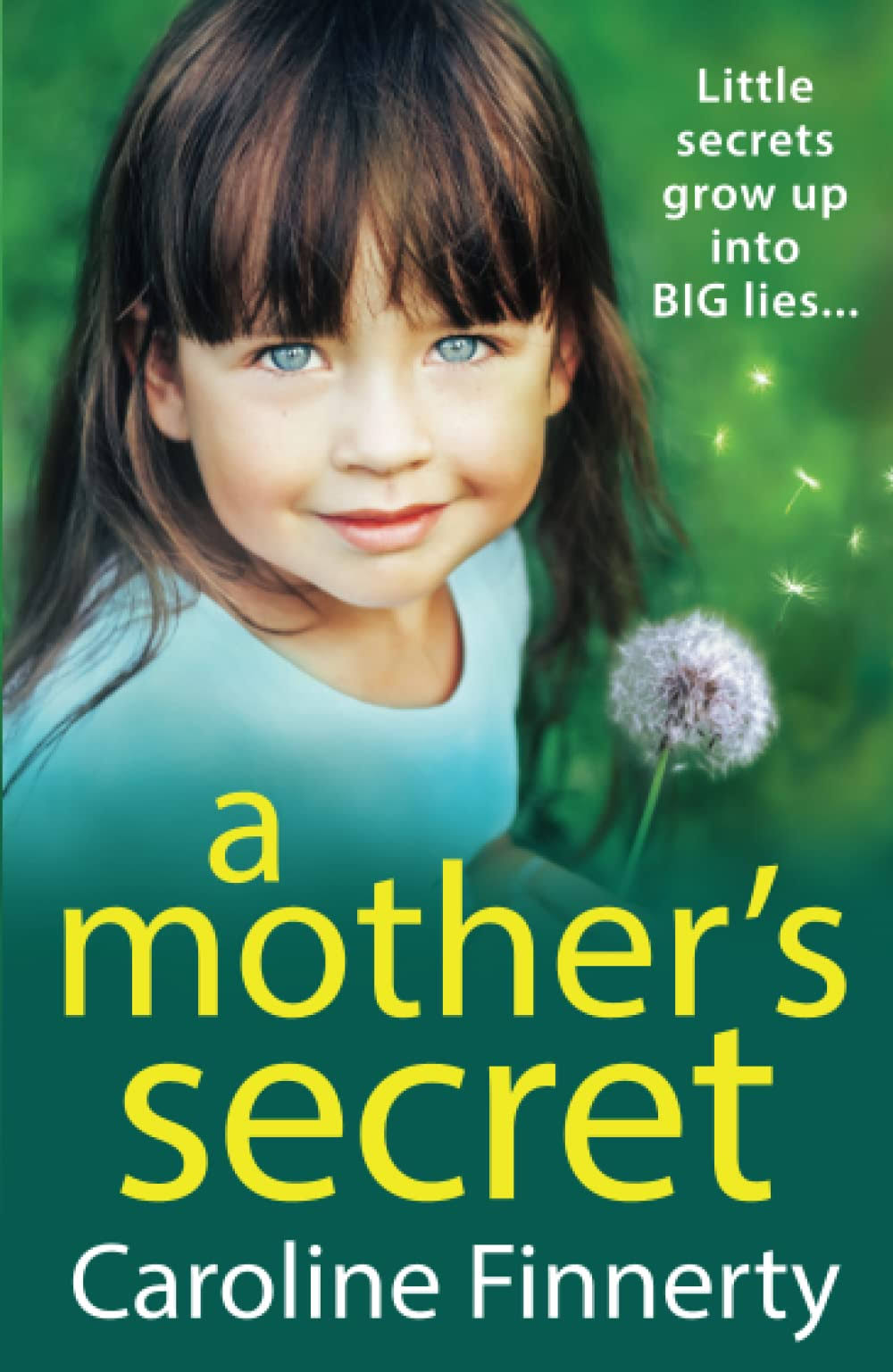 A Mother's Secret [Book]