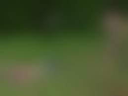 incest 3d family|Family Orgy - Incest Chronicles 3D | ComicsXD