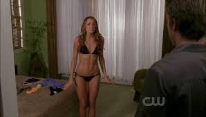 Shantel vansanten sexy bikini hot optimized jpg x Shantel vansanten sexy