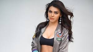 Raj kundra says sherlyn chopra makes jpg x Indian actress sherlyn chopra