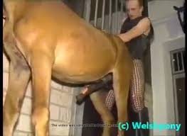 Guy fucks horse real hard from behind jpg x Man fuck horse