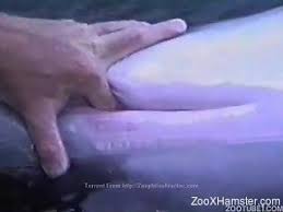 Man fucks dolphin jpg x Man fucks dolphin