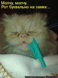 images?q=tbn:ANd9GcRSvKoaXdXVUOR9LMhrXe89Ev8yNHpIihuEzY1A6X8SuCxHI70b