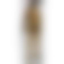 Голые трупы|Убитые голые женщины