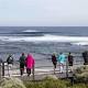 Margaret River shark scare prompts World Surf League to double down on surveillance 