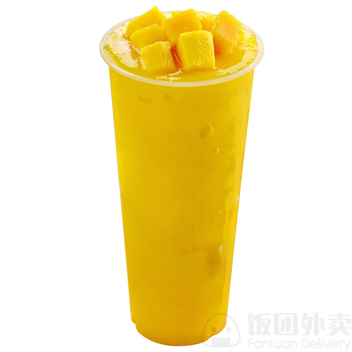 Star Snow Ice by null