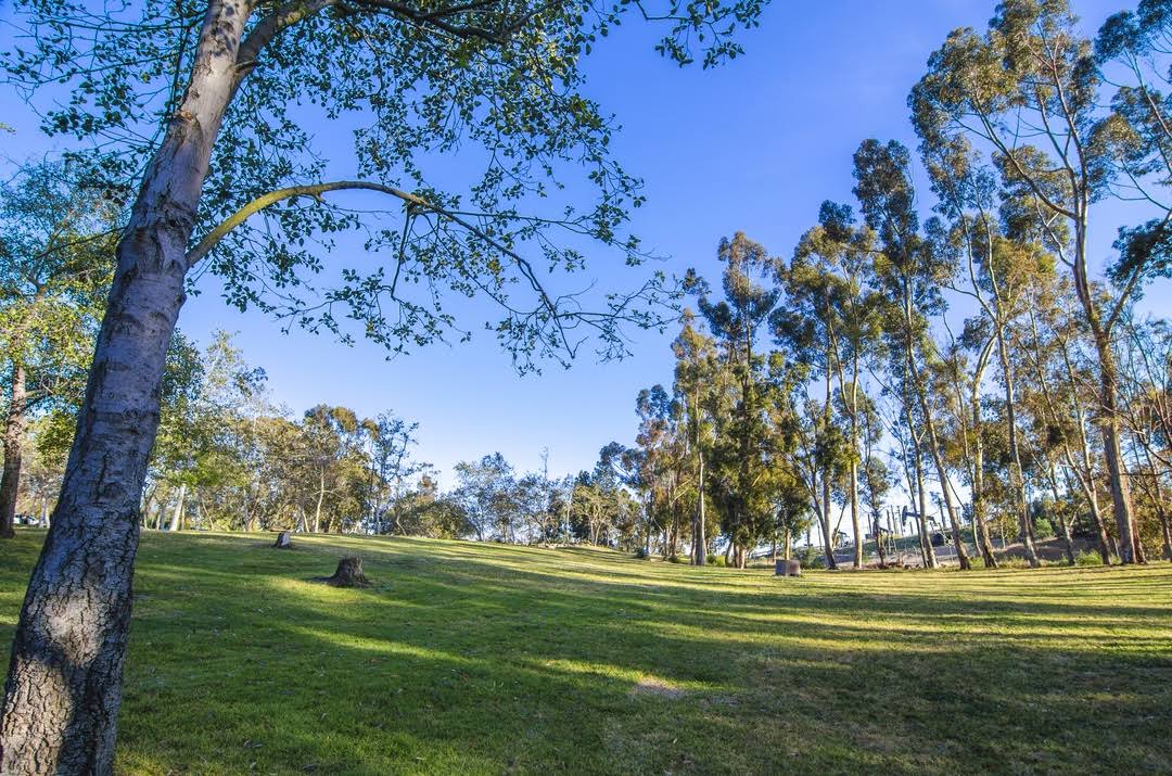 Kenneth Hahn State Recreation Area by Google