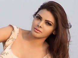 Sherlyn chopra accuses raj kundra cms x Hindi sherlyn chopra