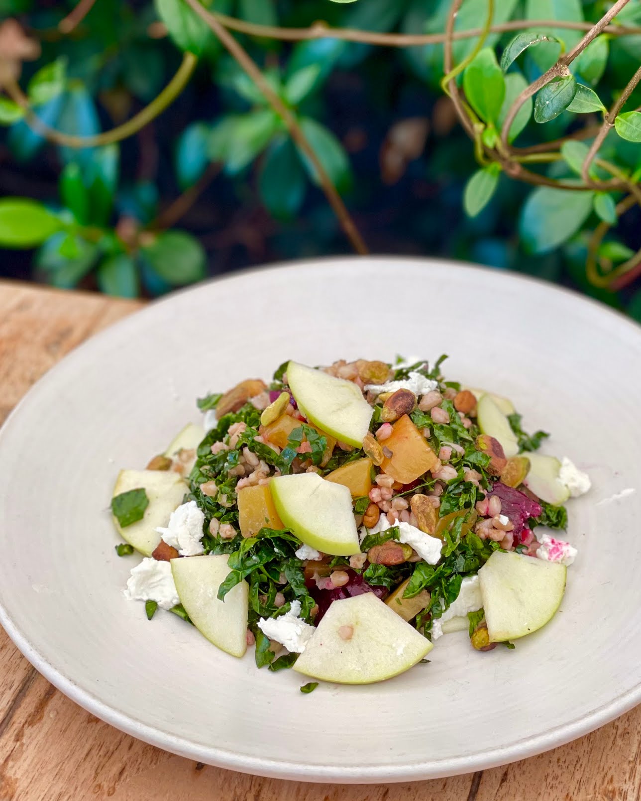 Local Kitchen & Wine Bar by null