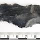 Tools solve Stone Age mystery: Cavemen were smarter than we thought 