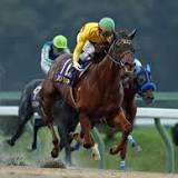 東京大賞典, コパノリッキー, 競馬の競走格付け, 大井競馬場, サウンドトゥルー, G1, 栗東トレーニングセンター, 地方競馬