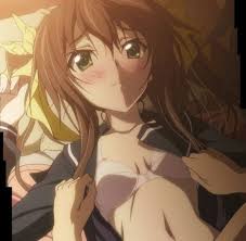 Cm infinite stratos hentai pleasant fun with charlotte dunois jpg x Infinite stratos cosplay