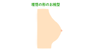 おわん おっぱい|希少乳 おわん型おっぱい乳揺れセックス - エロ動画・アダルトビデオ - FANZA動画